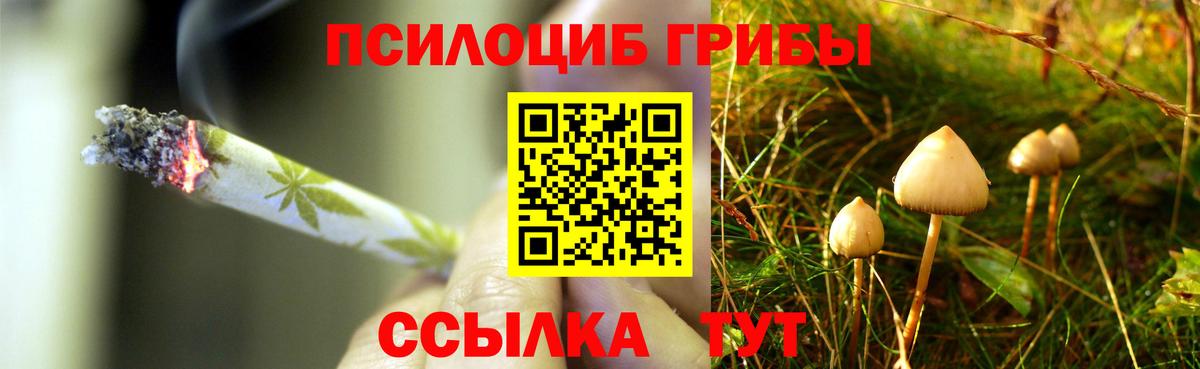 Галлюциногенные грибы GOLDEN TEACHER Коркино